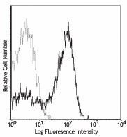 Biotin anti-mouse CD51 Antibody (104103)