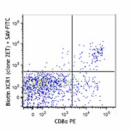 Biotin anti-mouse/rat XCR1 Antibody (148212)