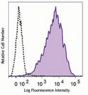 PE/Cyanine7 anti-human CD66a/c/e Antibody (342310)