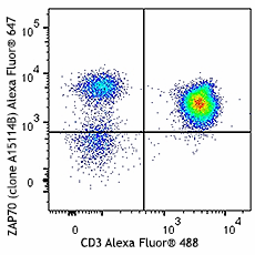 Alexa Fluor® 647 anti-ZAP70 Antibody (691205)