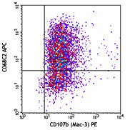 APC anti-mouse CD206 (MMR) Antibody (141707)