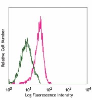 PE anti-mouse CD144 (VE-cadherin) Antibody (138009)