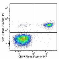 PE anti-SPI1 (PU.1) Antibody (658009)
