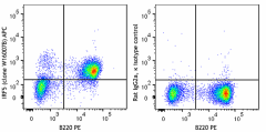 APC anti-mouse IRF5 Antibody (158605)
