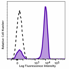 GMP PE anti-human TCR α/β Antibody (260018)
