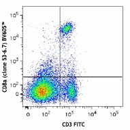Brilliant Violet 605™ anti-mouse CD8a Antibody (100743)