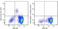 FITC anti-human CD34 Antibody (343603)
