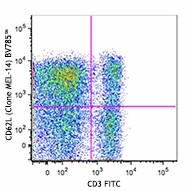 Brilliant Violet 785™ anti-mouse CD62L Antibody (104440)