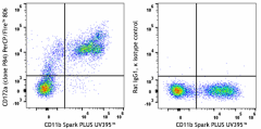 PerCP/Fire™ 806 anti-mouse CD172a (SIRPα) Antibody (144047)