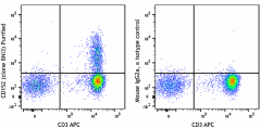 Purified anti-human CD152 (CTLA-4) Antibody (369602)