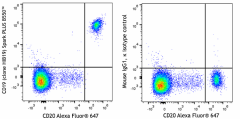 Spark PLUS B550™ anti-human CD19 Antibody (390409)