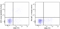 Purified anti-mouse/rat XCR1 Recombinant Antibody (109402)