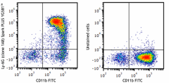 Spark PLUS YG581™ anti-mouse Ly-6G Antibody (127687)