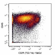 Purified anti-human CD29 (Maxpar® Ready) Antibody (303021)