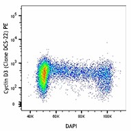 PE anti-Cyclin D3 Antibody (684903)