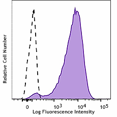 PE anti-Tubulin β 3 (TUBB3) Antibody (801221)