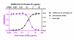 LEAF™ Purified anti-human ACE2 Antibody (503602)