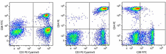 Anti-human CD3 PE-Cyn5/CD4 PE/CD8 FITC Cocktail (319001)