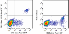 Spark YG™ 593 anti-human CD19 Antibody (302279)