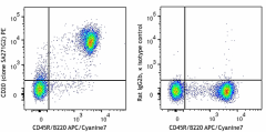 PE anti-mouse CD20 Antibody (152105)