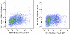 PE/Cyanine7 anti-human XCR1 Antibody (372626)