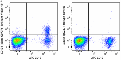 Brilliant Violet 421™ anti-human CD124 (IL-4Rα) Antibody (355013)
