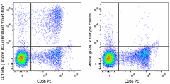 Brilliant Violet 605™ anti-human CD158b/j (KIR2DL2/L3/S2) Antibody (312623)