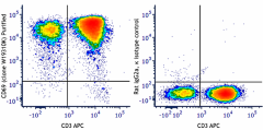 Purified anti-human CD69 Antibody (388602)