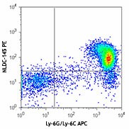 PE anti-mouse CD205 (DEC-205) Antibody (138213)