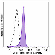 APC anti-human IRF1 Antibody (332905)