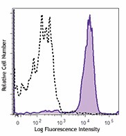 Brilliant Violet 785™ anti-human CD107a (LAMP-1) Antibody (328643)