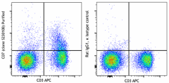 Purified anti-mouse CD7 Antibody (167102)