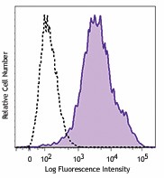 PE/Dazzle™ 594 anti-mouse CD107a (LAMP-1) Antibody (121623)
