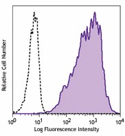 FITC anti-human CD77 Antibody (357103)