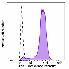 Purified anti-rat CD48 Antibody (204208)