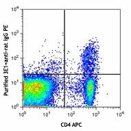 Purified anti-mouse CD304 (Neuropilin-1) Antibody (145201)