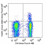 Alexa Fluor® 647 anti-human FOXP3 Antibody (320113)