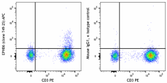 APC anti-human EPHB6 Antibody (384305)