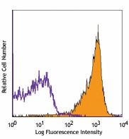 PE/Cyanine7 anti-rat CD90/mouse CD90.1 (Thy1.1) Antibody (202517)