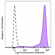 Biotin anti-human CD138 (Syndecan-1) Antibody (356535)