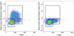 Brilliant Violet 510™ anti-BrdU Antibody (364119)