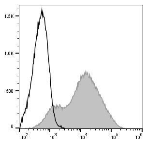 PerCP/Cyanine5.5 Anti-Mouse Ly6A/E(Sca-1) Antibody[D7] (E-AB-F1191J)