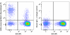 PE anti-human CD56 (NCAM) Recombinant Antibody (398803)