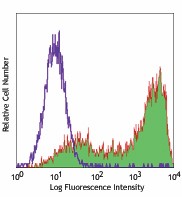 Purified anti-human TRA-1-81 Antibody (330702)