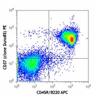PE anti-mouse CD37 Antibody (146203)
