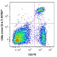 Brilliant Violet 785™ anti-mouse CD8a Antibody (100749)