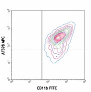 APC anti-mouse CD115 (CSF-1R) Antibody (135509)