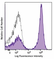 PE anti-mouse CD19 Antibody (152407)