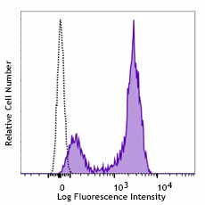 PerCP/Cyanine5.5 anti-mouse/human Ki-67 Antibody (151221)
