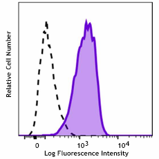 PE anti-human CD202b (Tie2/Tek) Antibody (390553)